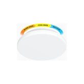 Firefly Functional Decorative LED Ceiling Lamp (Classic)